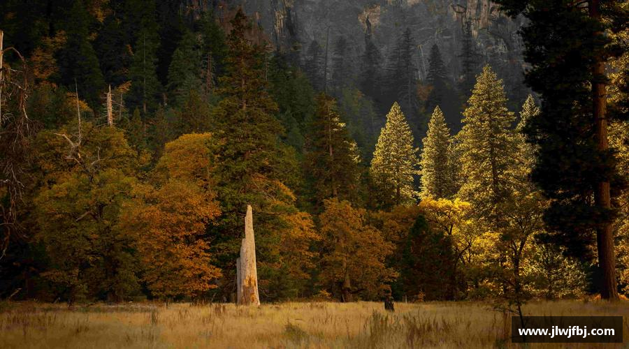 拼尽全力，战胜一切！